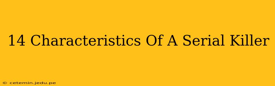 14 Characteristics Of A Serial Killer