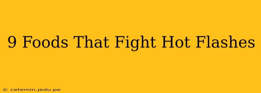 9 Foods That Fight Hot Flashes