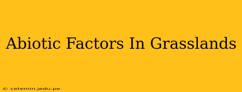 Abiotic Factors In Grasslands