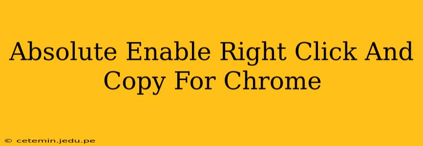 Absolute Enable Right Click And Copy For Chrome