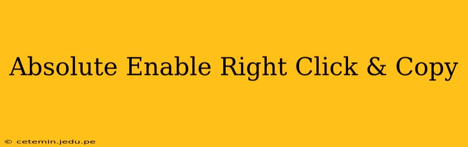 Absolute Enable Right Click & Copy