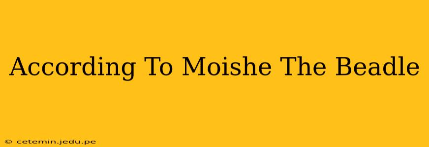 According To Moishe The Beadle