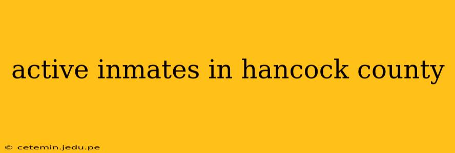 active inmates in hancock county