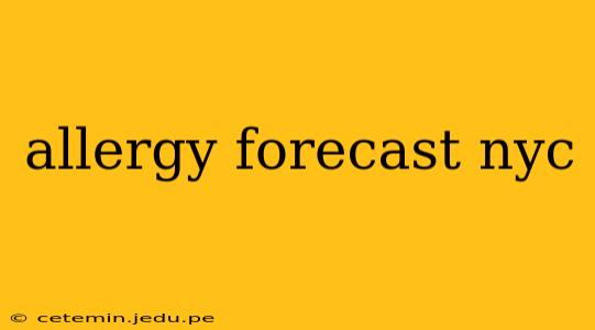 allergy forecast nyc