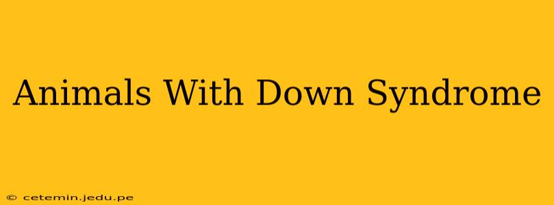 Animals With Down Syndrome