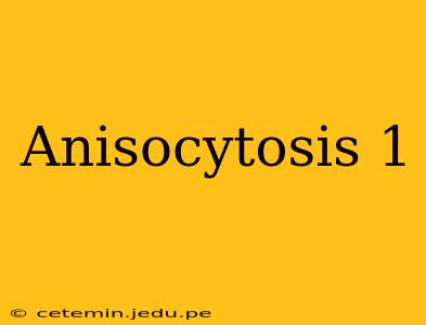 Anisocytosis 1