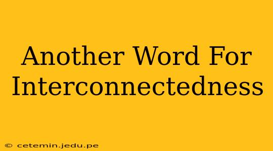 Another Word For Interconnectedness