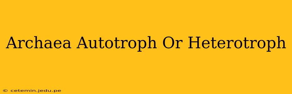 Archaea Autotroph Or Heterotroph