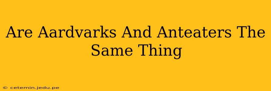 Are Aardvarks And Anteaters The Same Thing