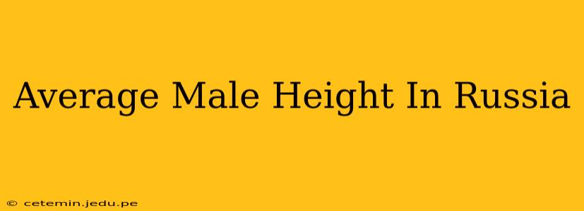 Average Male Height In Russia