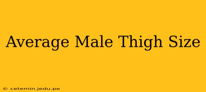 Average Male Thigh Size