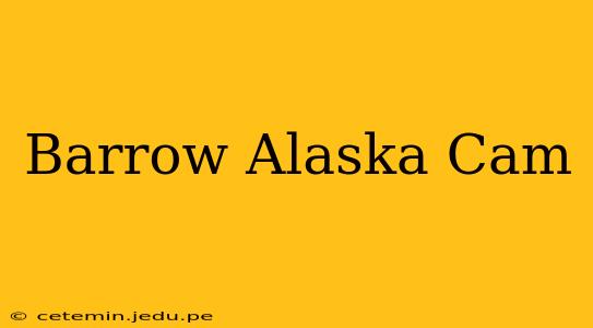 Barrow Alaska Cam