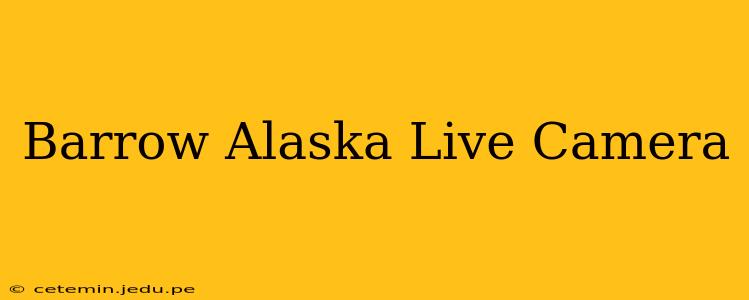 Barrow Alaska Live Camera