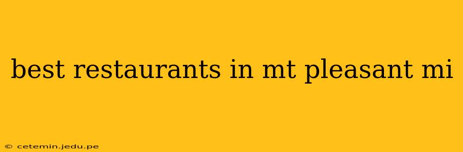 best restaurants in mt pleasant mi