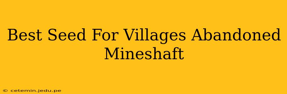 Best Seed For Villages Abandoned Mineshaft