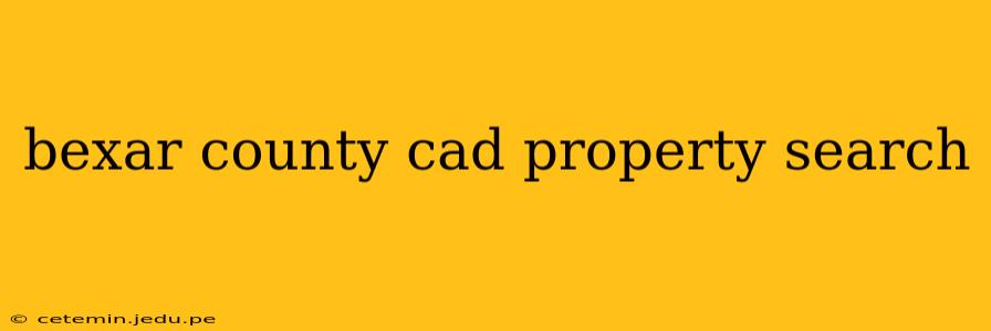 bexar county cad property search
