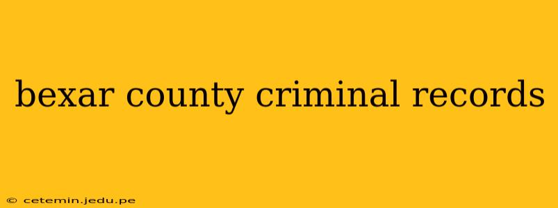 bexar county criminal records