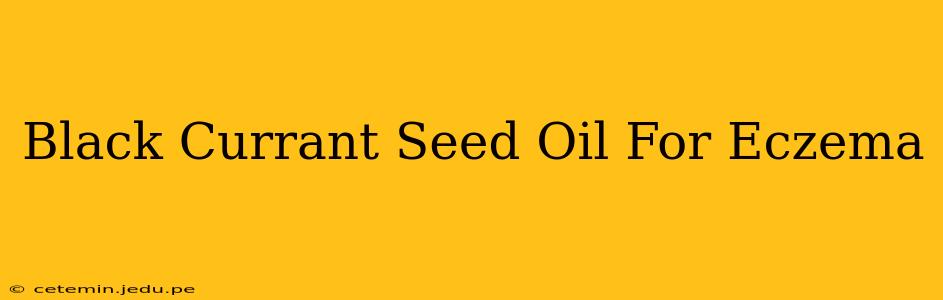 Black Currant Seed Oil For Eczema