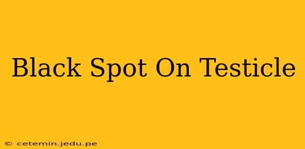 Black Spot On Testicle