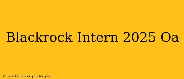 Blackrock Intern 2025 Oa