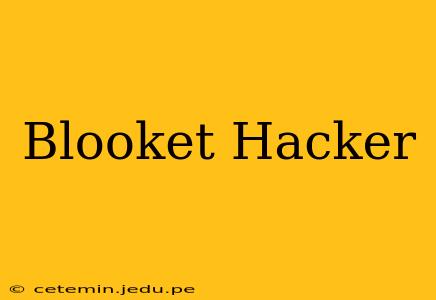 Blooket Hacker