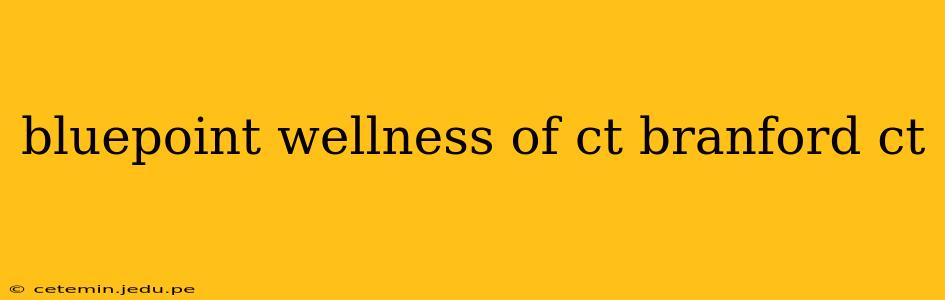 bluepoint wellness of ct branford ct