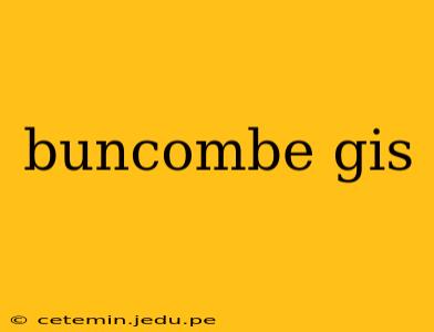 buncombe gis