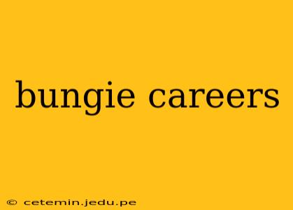 bungie careers