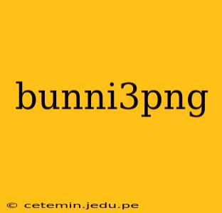 bunni3png
