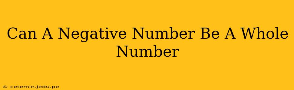 Can A Negative Number Be A Whole Number