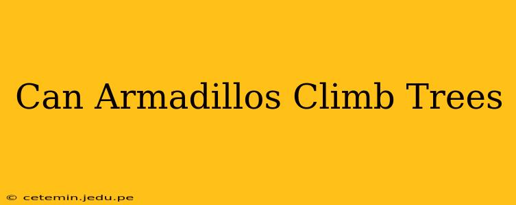 Can Armadillos Climb Trees