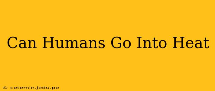 Can Humans Go Into Heat