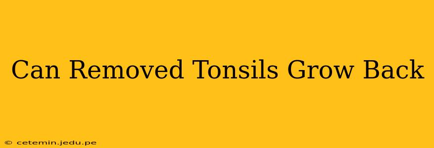 Can Removed Tonsils Grow Back
