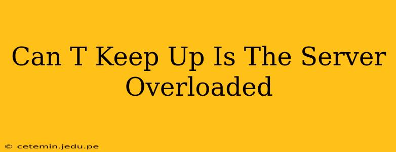 Can T Keep Up Is The Server Overloaded