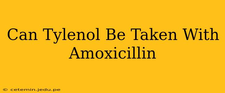 Can Tylenol Be Taken With Amoxicillin