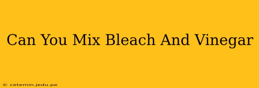Can You Mix Bleach And Vinegar