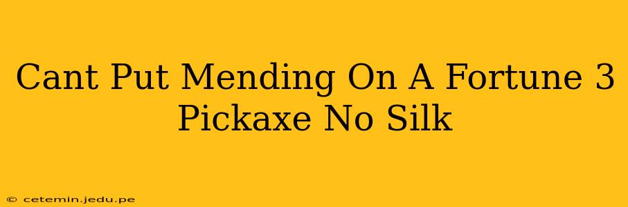 Cant Put Mending On A Fortune 3 Pickaxe No Silk