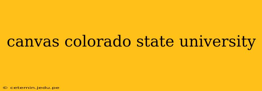 canvas colorado state university