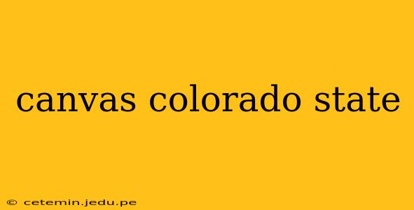 canvas colorado state