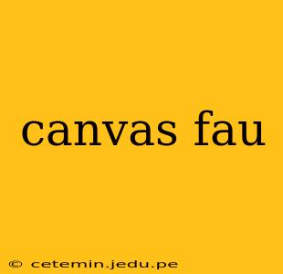 canvas fau