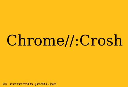 Chrome//:Crosh