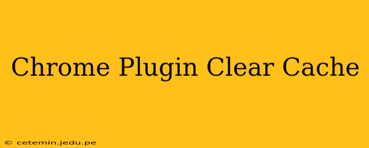 Chrome Plugin Clear Cache