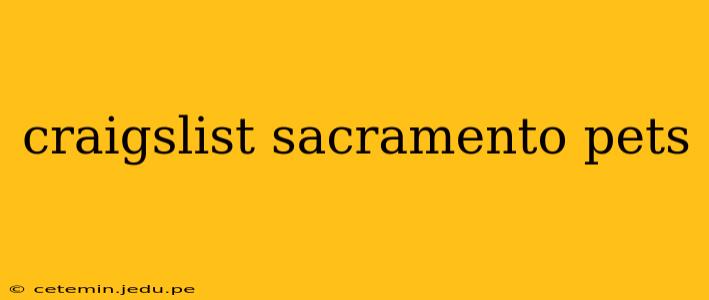 craigslist sacramento pets