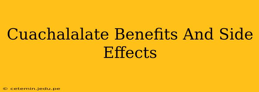 Cuachalalate Benefits And Side Effects
