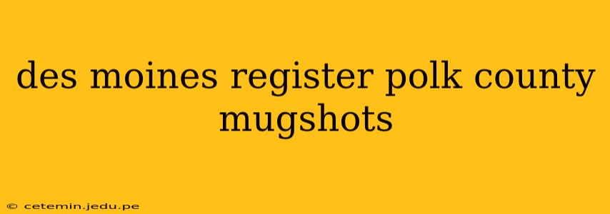 des moines register polk county mugshots