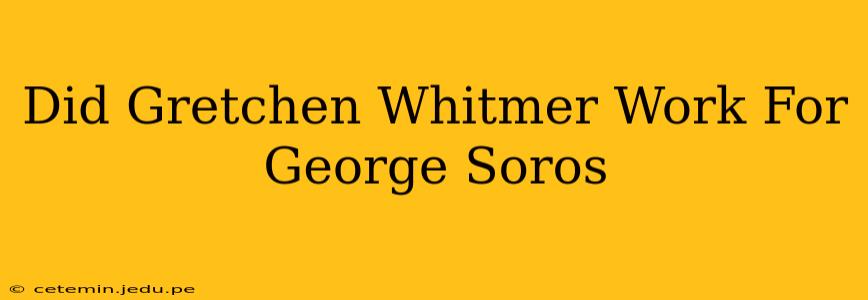 Did Gretchen Whitmer Work For George Soros