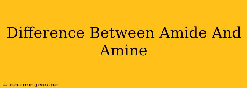 Difference Between Amide And Amine