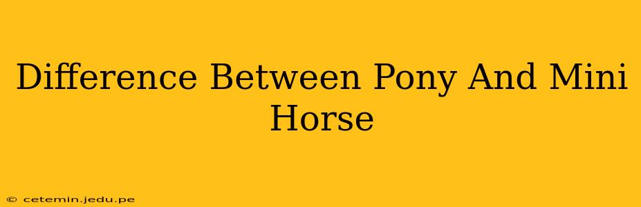 Difference Between Pony And Mini Horse