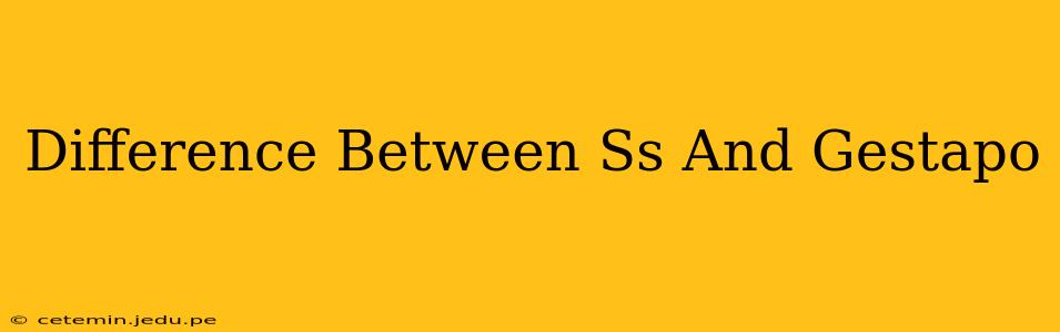 Difference Between Ss And Gestapo
