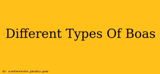 Different Types Of Boas